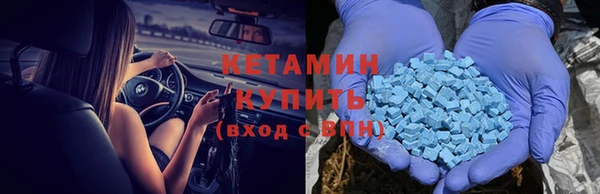 индика Белокуриха