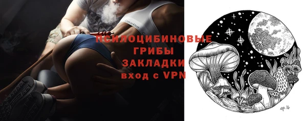 индика Белокуриха