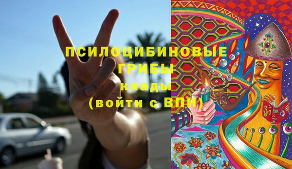 прущие грибы Белоозёрский