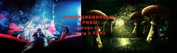 прущие грибы Белоозёрский