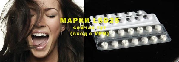 индика Белокуриха