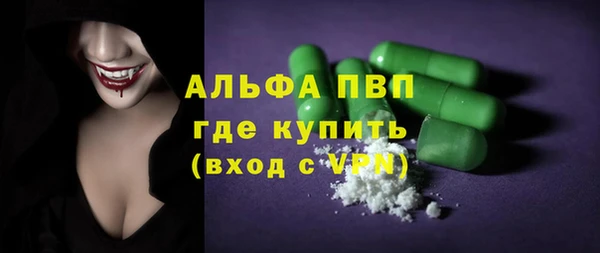 индика Белокуриха