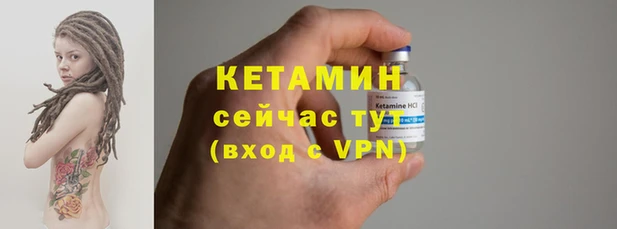 индика Белокуриха
