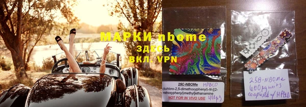 индика Белокуриха