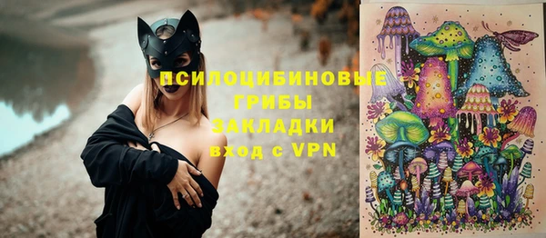 ПСИЛОЦИБИНОВЫЕ ГРИБЫ Беломорск