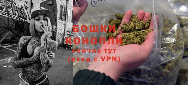 индика Белокуриха