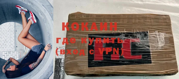 индика Белокуриха
