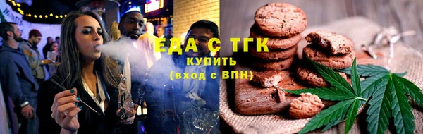индика Белокуриха