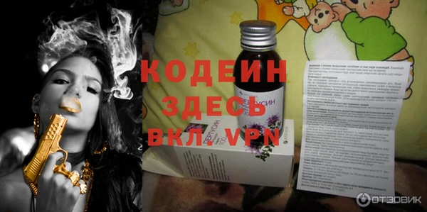 индика Белокуриха