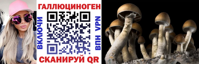 Галлюциногенные грибы Magic Shrooms  гидра ССЫЛКА  Чердынь 